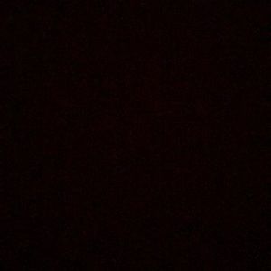 Meet your Posher, Neida